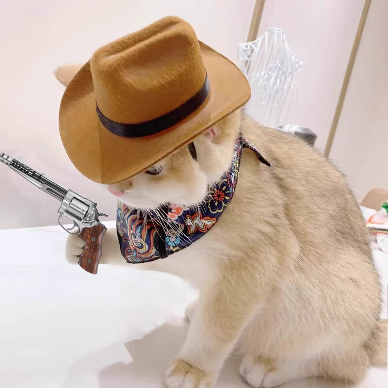    Topi Koboi Kucing Aksesori - Cowboy Hat Straw ulasan dan harga